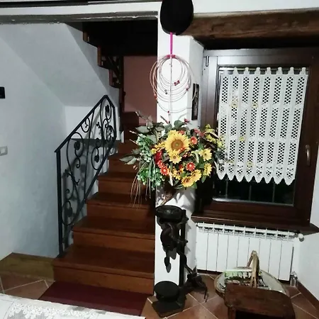 In - Piemont 52109 * Ceppo Morelli