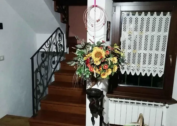 In - Piemont 52109 * Ceppo Morelli